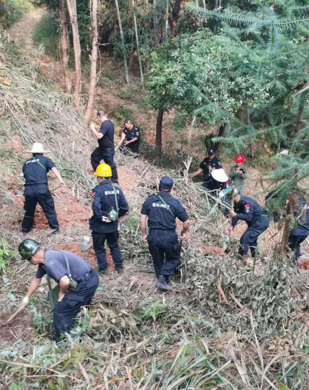 干好每一天|青山掛白我復綠，無私奉獻金森人——資源保護部義務突擊隊工作記實